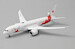 Boeing 787-8 Dreamliner Torch Relay "Flap Down" JA837J With Antenna