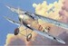 Albatros DII Profipack