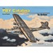 PBY Catalina in Action