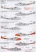 de Havilland Vampire T.11 UK Part 1