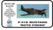 Rotofinish (P51 Mustang)