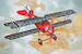 Siemens Schuckert DIII