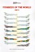 Fishbeds of the World part 2