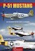 P-51 Mustang, un chasseur rentré dans la légende.