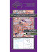 VFR aeronautical chart France Northeast 2020