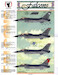 American Falcons Part 2 (F16)