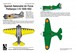 Polikarpov I-16 Spanish AF 1939-1952