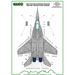 MiG29 Fulcrum ; Polish Stencils