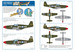 P51B Mustang (Donald E. Allen)