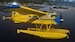 DHC-2 Beaver (Download Version)