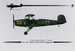 Bucker Bu131A/D Jungmann (Luftwaffe, Dutch NILF, Swiss AF and Regia Aeronautica)