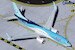 Boeing 737-800 TUI Airways G-FDZU