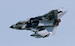 Tornado IDS with Black Panthers Special color