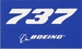 737 Blue Sticker