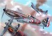 Dewoitine D520 (French AF)
