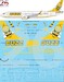 Boeing 737 Max 8 (Buzz)