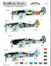 Rammjagers part 3 (FW190)