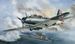 Douglas TBD-1 "Devastator", (VT-6, Wake Island 1942)