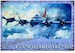 B-17G-40-VE Flying Fortress A Bit o' Lace metal poster