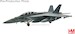 F/A-18F Super Hornet, US Navy, 166674, VFA-213, USS George H W Bush "Operation Inherent Resolve 2017"