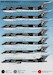 Camouflaged Victors (REISSUE)