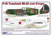 Curtiss P-40 Tomahawk Mk.IIA over Europe (2x decal options)