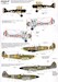 RAF No41sq History Part 1