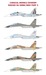 Sukhoi Su-30MK/MKK Flanker - Part 2