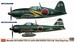 352nd Flying Group (A6M5c Zero, J2M3 Raiden) combo kit
