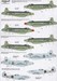Supermarine Spiteful and Attacker