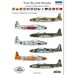 The Silver Stars, Lockheed T-33 Silver Star in the World