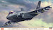 F35A Lightning II "JASDF Beast Mode"