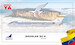 Douglas DC9-32 Aeropostal 80 Anos YV141T With Stand