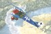Fokker DVII (early)