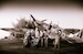 303sq pilot group with trophy