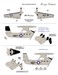 E2C Hawkeye (VAW-110 Firebirds / VAW-113 Black Eagles)