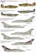 RAF no 111squadron History