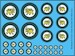 Rhodesian Air Force (Green roundels with Golden Lion)