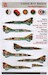 Mikoyan MiG23 'Non Aligned Floggers part 2