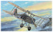 RAF SE5a