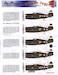 Debden Jugs part 1 (P47D Razorback)