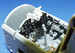 Detailset Republic P47D Razorback (Tamiya)
