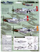 Green Nose Mustangs of East Wretham Part 2 (P51D)