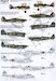 RAF No 1 Squadron 100 Years