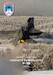 Warbirds of Norway Newsletter 2021 : The F-16 in Norway