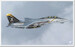 F-14 Extended ( Download version)  4015918128056-D image 3