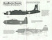 US Aircraft in French Service (P47D,B26C Inv.,F8F)