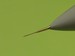 F111 Aardvark - Pitot Tube