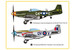 P51D Mustang IV