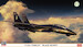 F14A Tomcat "Black Bunny"